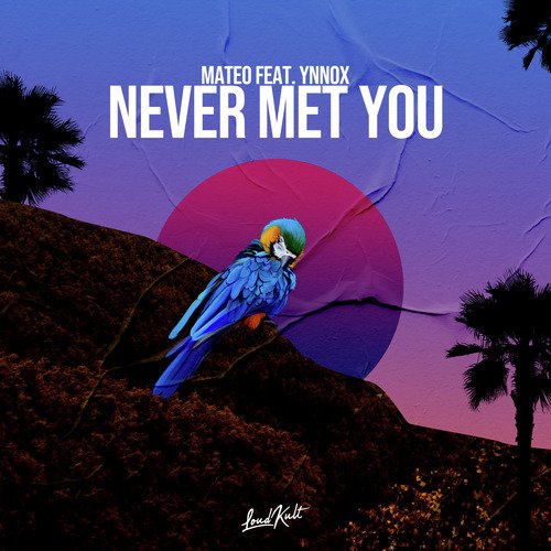 Never Met You