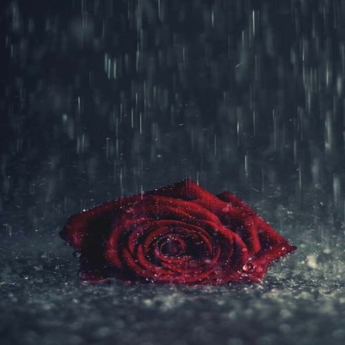 No Sleep (Trap) (Remix)