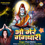 O Mere Gangdhari artwork