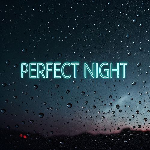 Perfect Night