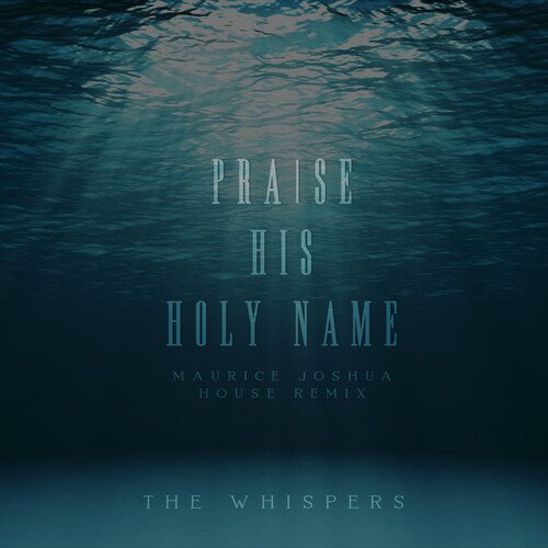 Praise His Holy Name (House Remix)_poster_image