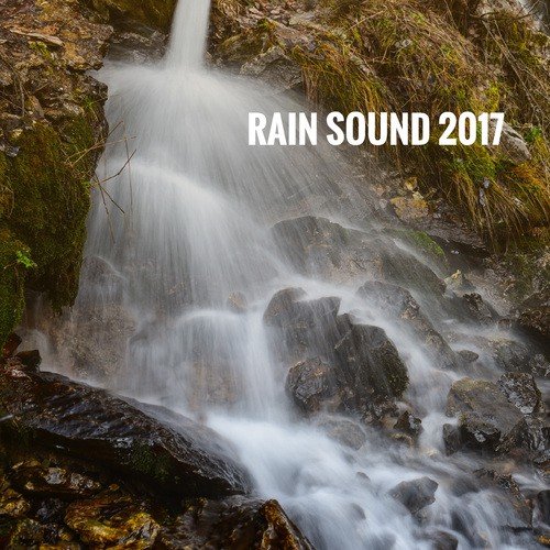 Rain Sound: Fall Asleep Mantra