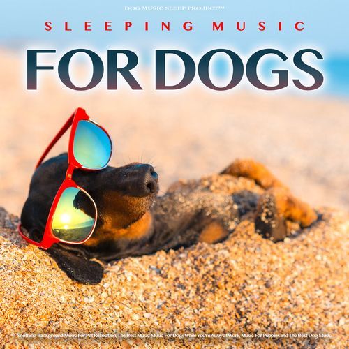 Piano Music For Dogs