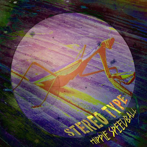 Stereo Type cover art