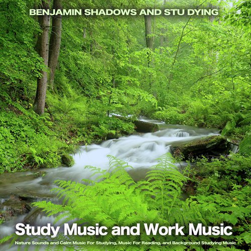 Study Music & Sounds cover art