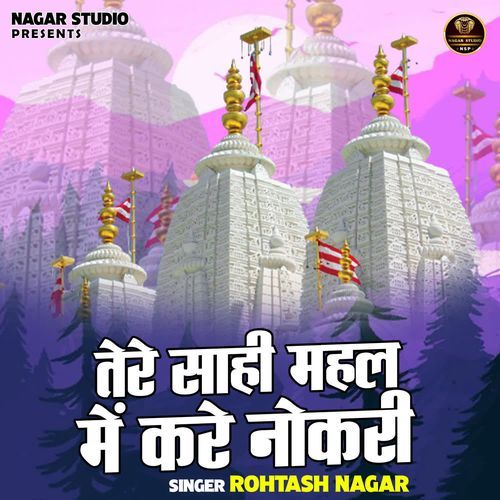 Tere Shahi Mahal Mein Karen Naukri