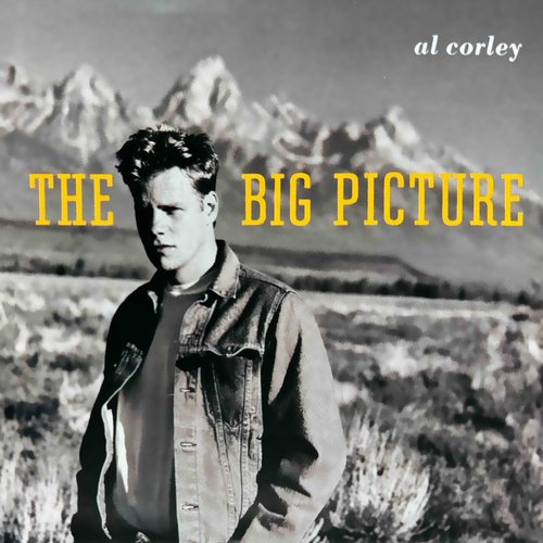 The Big Picture (Expanded Edition)_poster_image