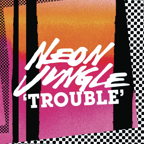 Trouble Remixes_poster_image