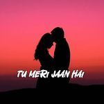 Tu Meri Jaan Hai