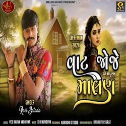 Vat Joje Malan (Lofi-Mix)