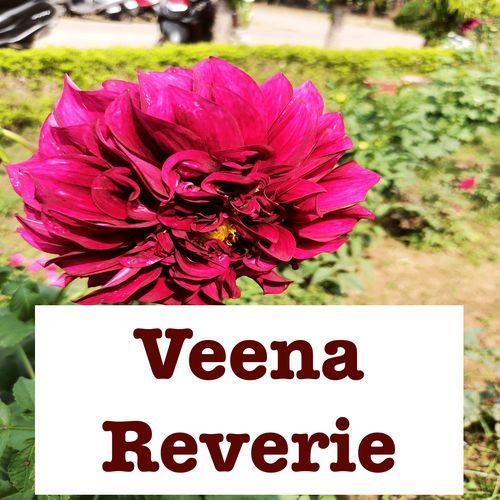 Veena Reverie