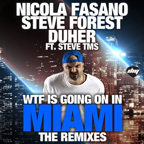 Wtf is Going on in Miami (The Remixes)_poster_image