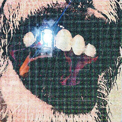PMZ cover art