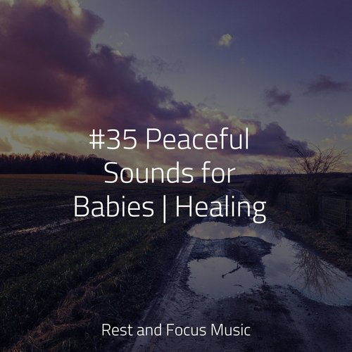 Chakra Shaman Healing cover art