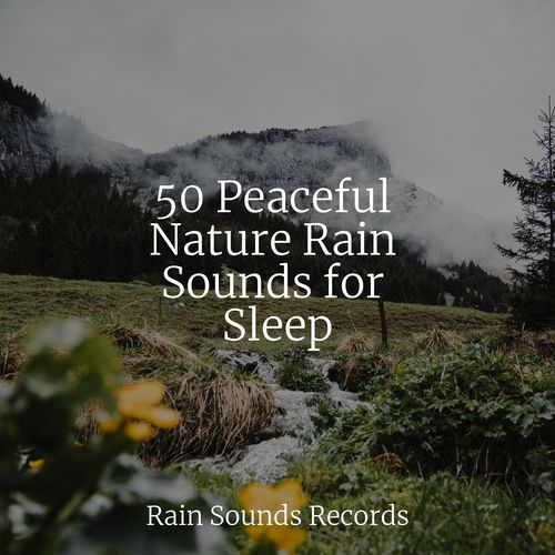 50 Peaceful Nature Rain Sounds for Sleep