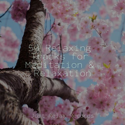 50 Relaxing Tracks for Meditation & Relaxation