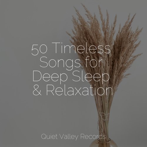 Focused, Relaxed cover art