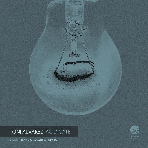 Acid Gate (Luciano Lamanna Remix) cover art