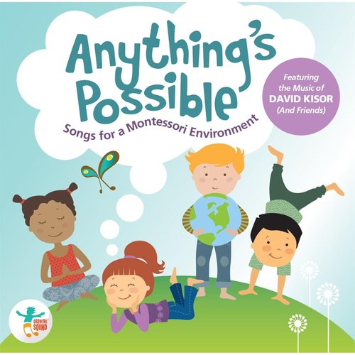 Anything's Possible cover art