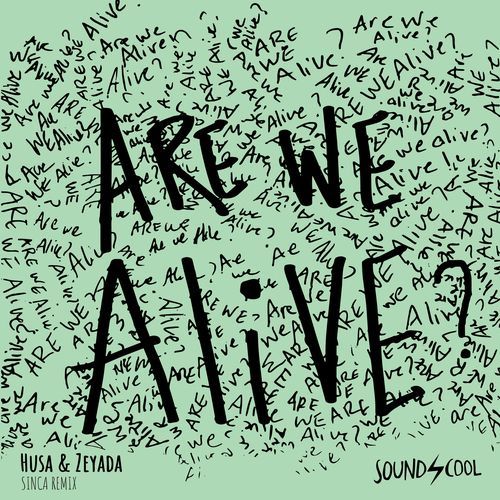 Are We Alive (Sinca Remix - Radio Edit)