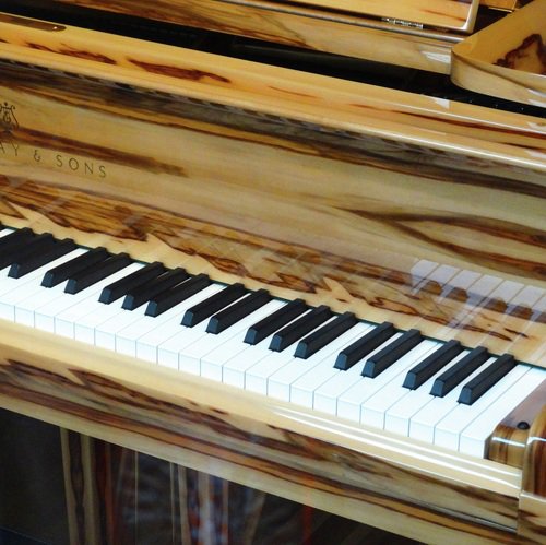 Piano Tune cover art