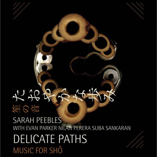Delicate Path (Lime) [feat. Evan Parker & Nilan Perera] cover art