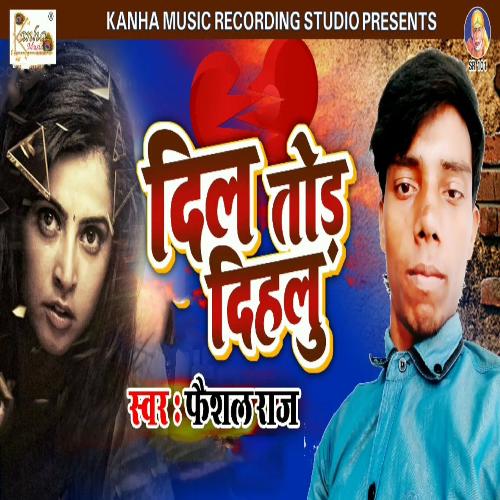 Dil Tod Dihlu