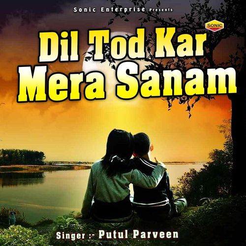 Dil Tod Kar Mera Sanam