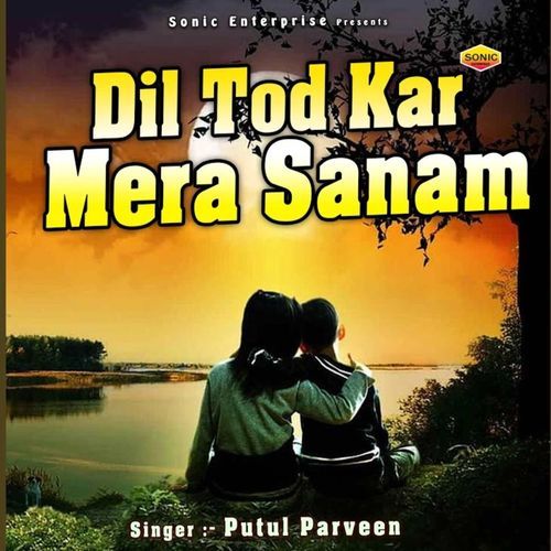 Dil Tod Kar Mera Sanam