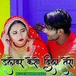 Dlewar Keso Dil Tero