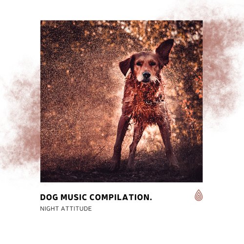 Dog Music Compilation. Night Attitude