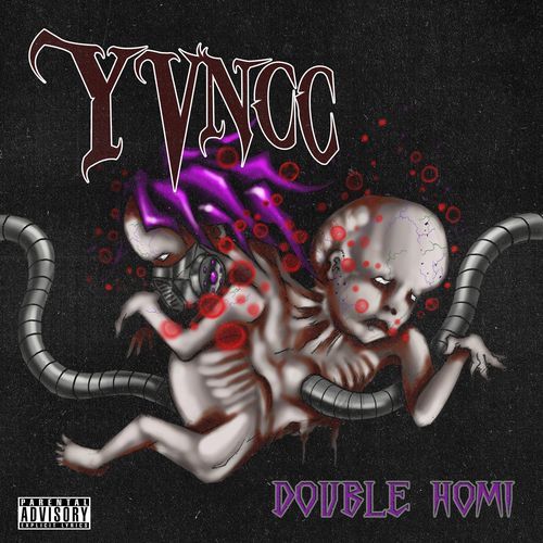 Double Homi cover art