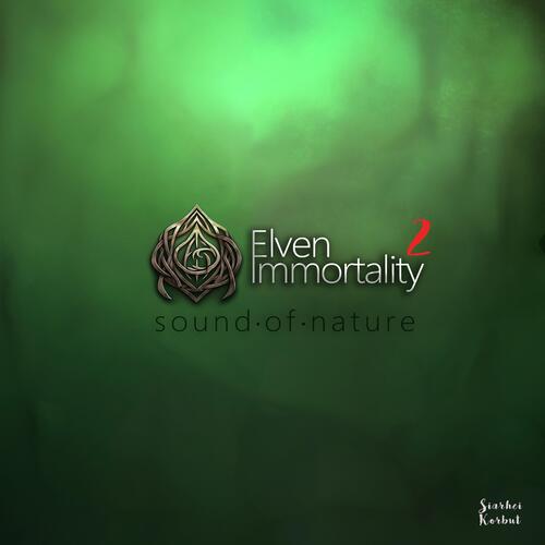 Celtic Meditation cover art