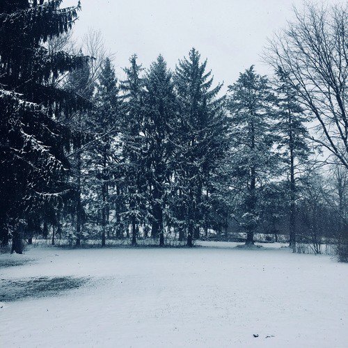 Farrell, Pt. 1 cover art