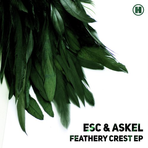 Choose One cover art