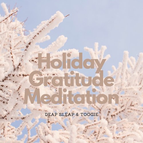 Holiday Gratitude Meditation_poster_image