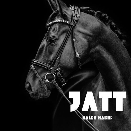 Jatt