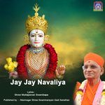Jay Jay Navaliya