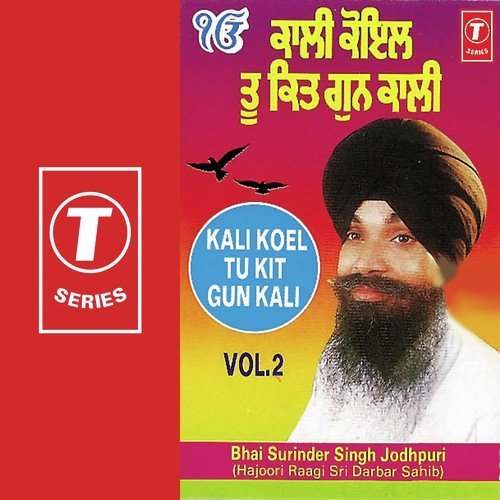 Kali Koel Tu Kit Gun Kali (Vol. 2)