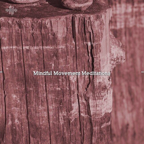 Mental Welness cover art