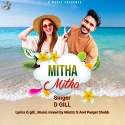 Mitha Mitha-N104ViFiAGE