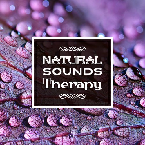Pure Spa cover art
