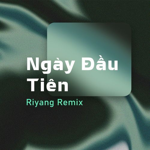 Ngày Đầu Tiên (Riyang Remix)