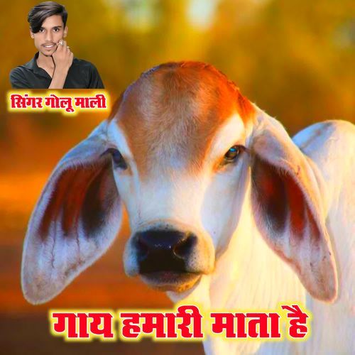 गाय हमारी मा��ता है