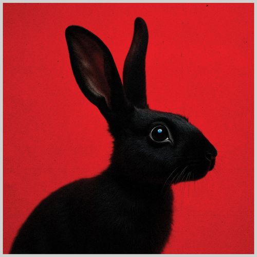 RABBIT (Deluxe)