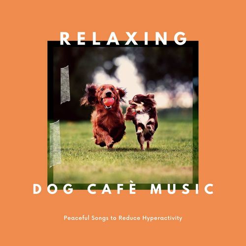 Tokyo Inu Cafè cover art