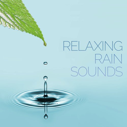 Raining In Droves Song Download From Relaxing Rain Sounds Jiosaavn