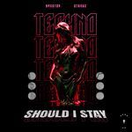 SHOULD I STAY OR SHOULD I GO