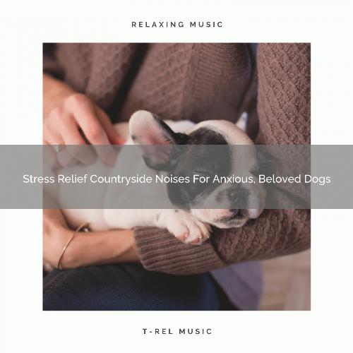 Stress Relief Countryside Noises For Anxious, Beloved Dogs