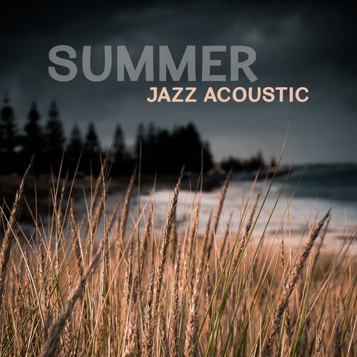 Jazz Lounge Zone cover art
